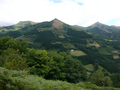 Ekaitza-Loitzate