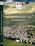 Jaquette_DVD_internet