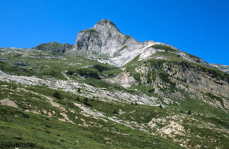 ger3